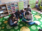 Img_20190305_122738
