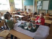 Img_20190408_132411