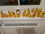 Img_20191025_185804