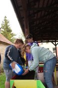 Img_0486 Img_0486