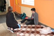 Img_0497 Img_0497