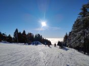 Img-20250116-wa0010