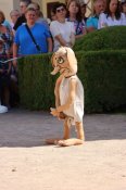 Img_1814