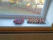 Img_20250219_155127_2