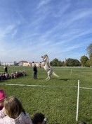 05d7d1dc-c78a-4001-8d4f-143c66c05e5d