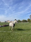 79af27e0-cefd-4f57-aa7e-5ed408a1de73