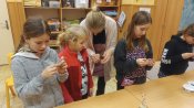 Img_20240228_150858