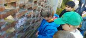 Img-20241022-wa0010
