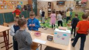 Img_20241115_125639