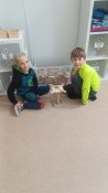 Img_20250326_122114