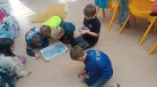 Img_20250326_123011