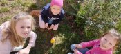 Img_20250327_144452