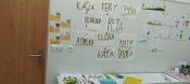 Img_20250328_141150