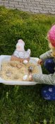 Img_20250411_131607