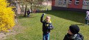 Img_20250411_133150