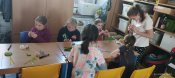 Img_20250429_152922