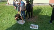 Img_20250514_135021