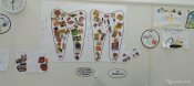Img_20250516_123038