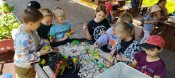 Img_20250612_141236