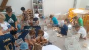 Img_20250626_123103