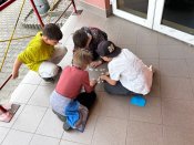 Img_3305