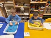 18d7aa18-88de-46c6-af25-56426ee0bd4a