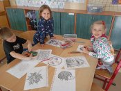 Img_20251106_131422 Img_20251106_131422