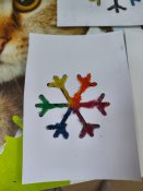 Img_20260116_140554 Img_20260116_140554