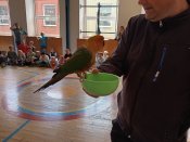 Img_20260513_130124