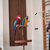 Img_20260513_133402