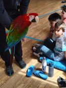 Img_20260513_134337