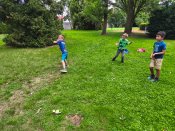 Img_20260618_130606 Img_20260618_130606