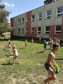 Img_9719 Img_9719