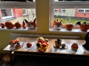 Processed-604815af-e9ab-4322-83c1-5d47f7bca5b2