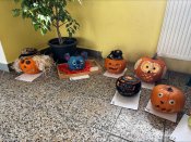 Processed-62a46af0-dc4c-47a3-a348-4ca9aada5096