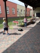 Img_1263 Img_1263