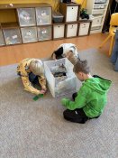 Img_1362 Img_1362