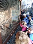 Img_20190408_091222