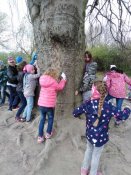Img_20190412_111127