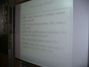 P1110925-a
