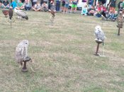 Img_20180911_095739 Img_20180911_095739