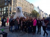 Img_20181016_120645 Img_20181016_120645