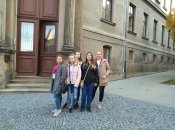 Img_20181106_113911 Img_20181106_113911