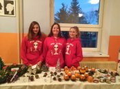 Img_20181129_162435 Img_20181129_162435