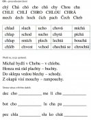Pl-cj-28-4_ Pl-cj-28-4_