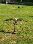 Img_20210909_112839