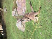 Image_123923953 Image_123923953