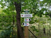 Img_20240924_094112