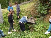 Img_20240924_102516