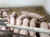 Img_20240924_113608